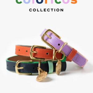 Coloricos Collection Colorful Leather Collars for Pets