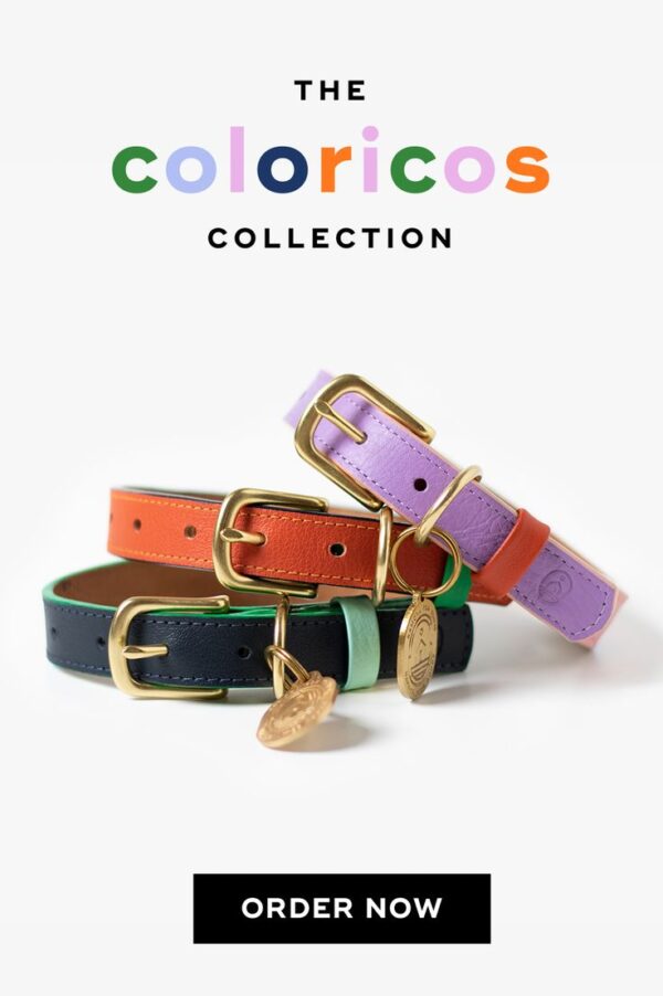 Coloricos Collection Colorful Leather Collars for Pets