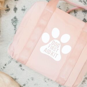 DIY Dog First Aid Kit Handy Gift Idea for Dog Mom