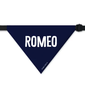 Pet Bandana - Romeo