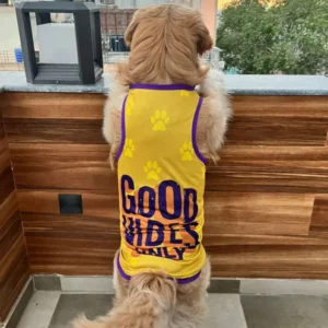 Summer T-Shirt for Pets