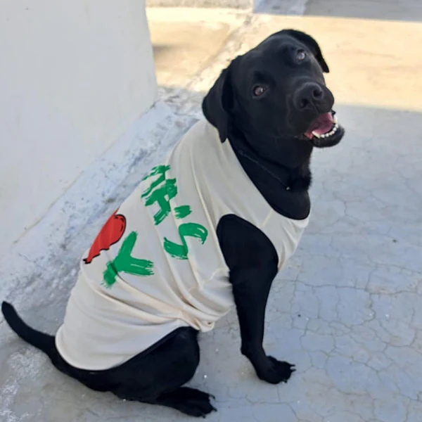 Summer T-Shirt for Pets