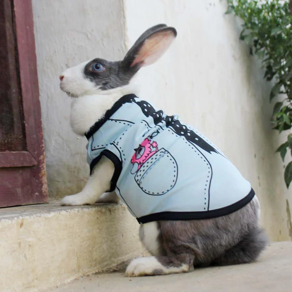 Summer T-Shirt for Pets