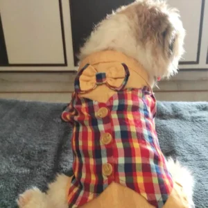 Summer Shirt with Bow Tie for Pets