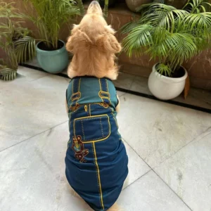 Summer T-Shirt for Pets