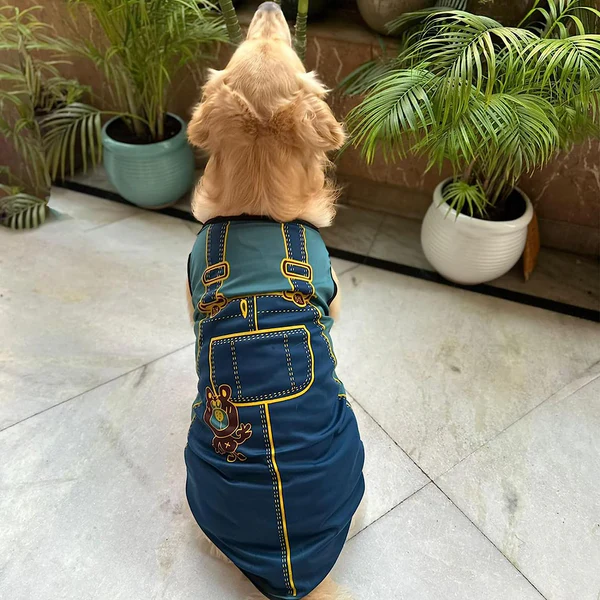 Summer T-Shirt for Pets
