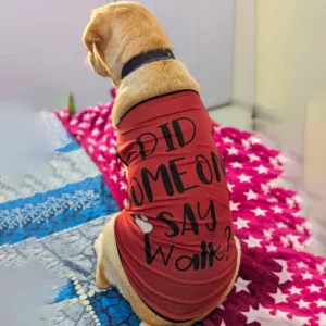 Summer T-Shirt for Pets