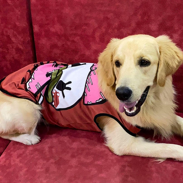 Summer T-Shirt for Pets