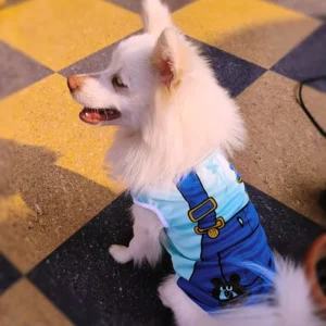 Summer T-Shirt for Pets