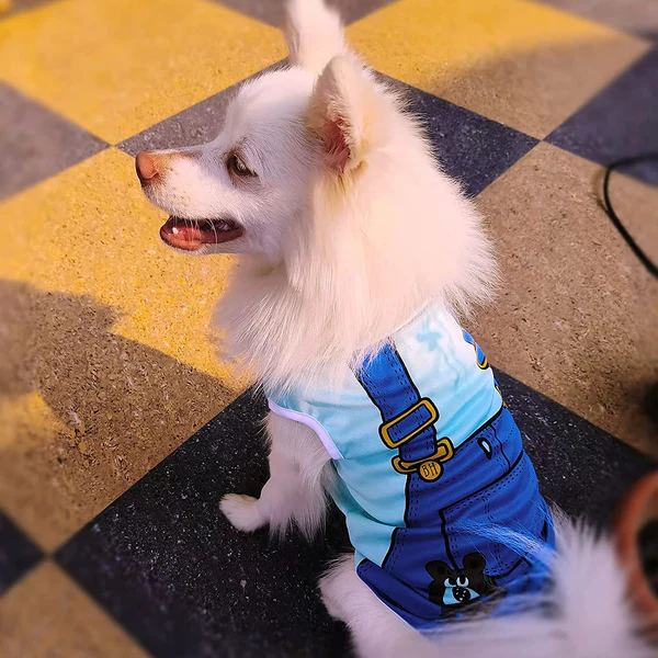 Summer T-Shirt for Pets
