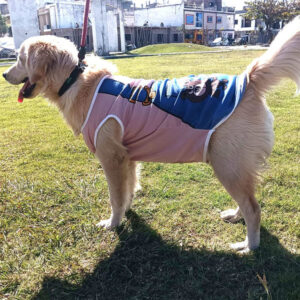 Summer T-Shirt for Pets