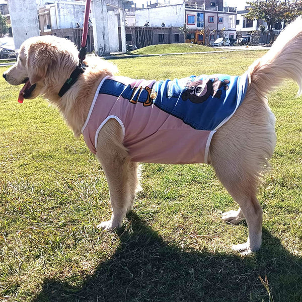 Summer T-Shirt for Pets
