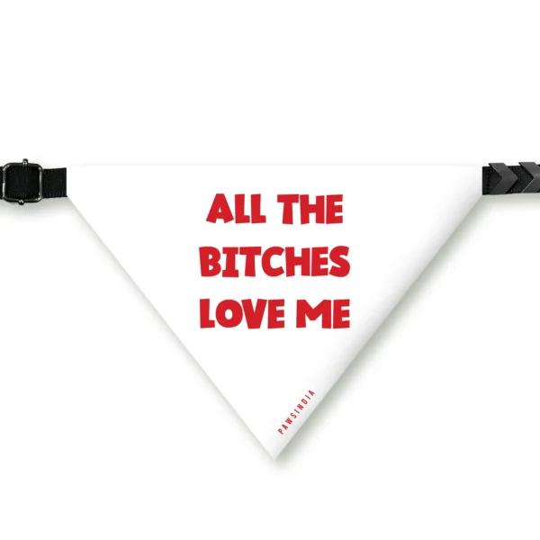 Pet Bandana -  All the bitches love me