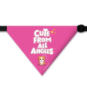 Cat Bandana ? Cute From All Angles