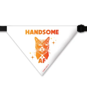 Cat Bandana ? Handsome