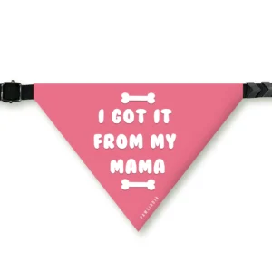 Pet Bandana ? I Got It From My Mama