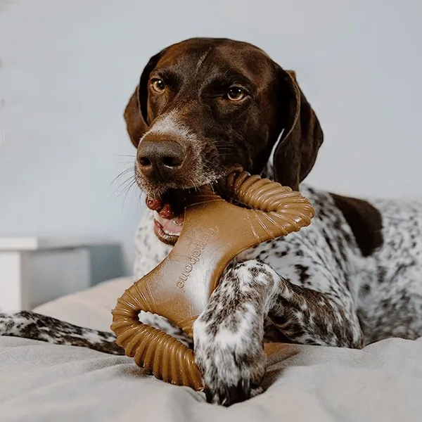 Benebone Bacon Flavored Dental Chew Toy for Dog | For Aggressive Chewers - Image 7