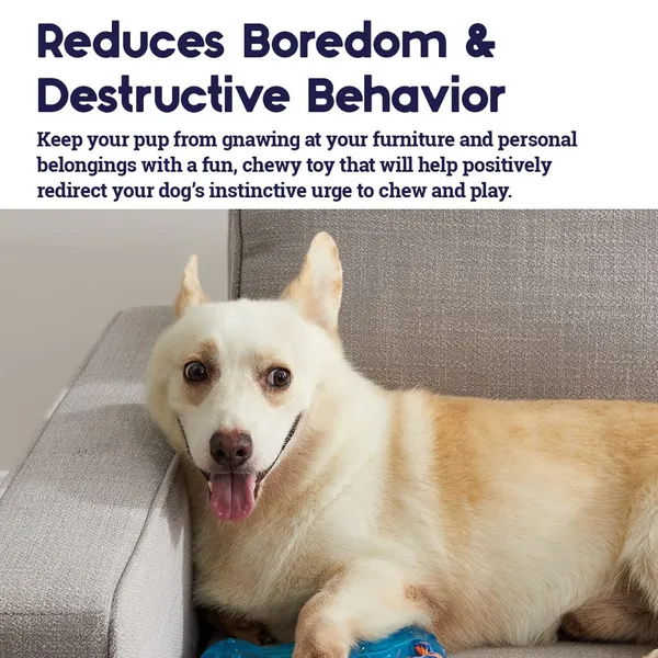 Petstages Orka Bone chew Toy for Dogs - Image 5