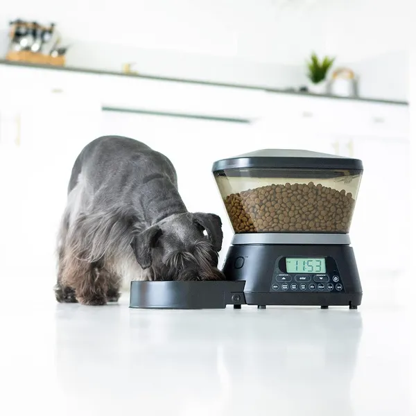 Pet Vogue Nano Automatic Food Dispenser for Dogs and Cats - Image 8
