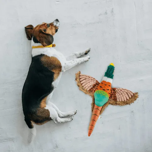 Barkbutler x Fofos Plush Pheasant Toy for Dogs | For Soft Chewers - Image 7