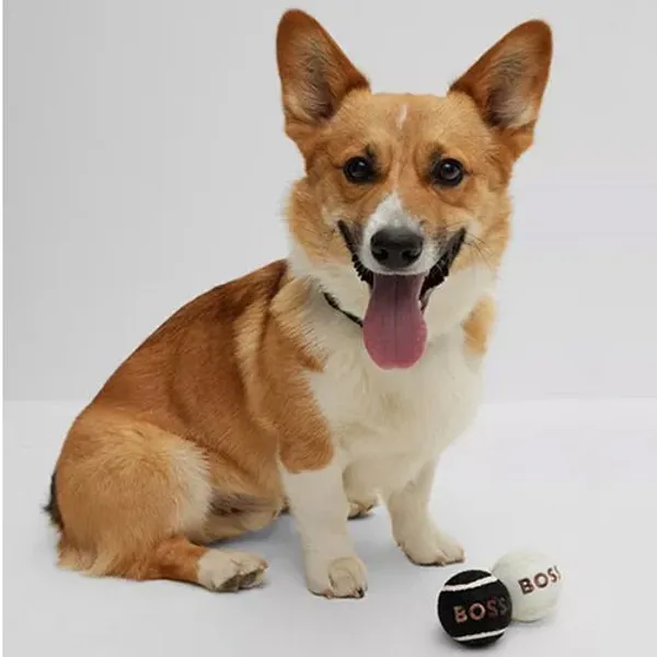 Boss Tennis Ball for Dogs (White/Camel/Black) - Image 5