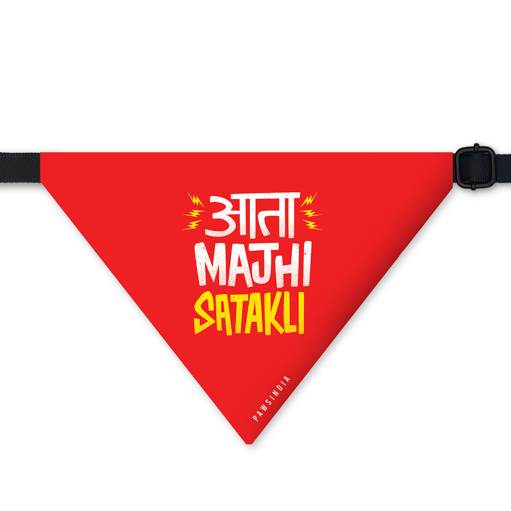Pawsindia Ata Mazi Satakli Pet Bandana for Dogs and Cats - Image 2
