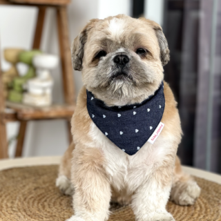 Pawgypets Hearty Denim Bandana for Dogs and Cats (Denim)