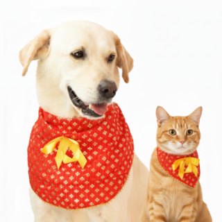 Skatrs Ethnic Banadana for Cats and Dogs (Red)