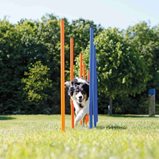 Trixie Dog Agility Slalom for Dogs (Orange/Blue)