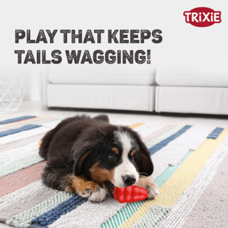 Trixie Jumper Chew Toy for Dogs (Red)