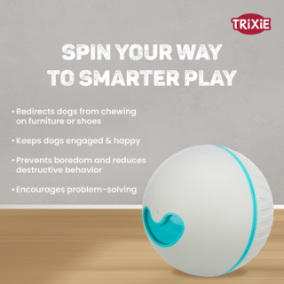 Trixie Plastic Snack Ball Toy for Dogs (Grey)