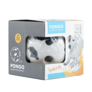 M Pets Pongo Interactive ball Toy for Dogs
