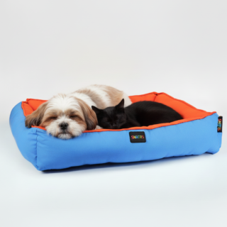 Skatrs Square Shaped Bed for Dogs & Cats (Orange & Blue)