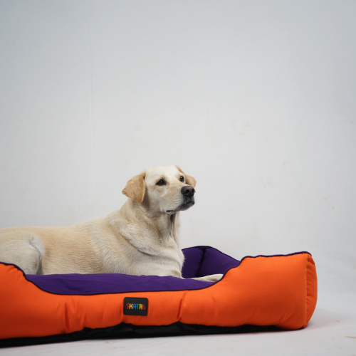 Skatrs Square Shaped Bed for Dogs & Cats (Orange/Purple) - Image 4