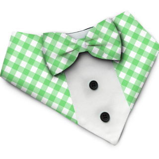 PawsIndia Green Checks Pattern Tuxedo Bandana with Matching Bow for Dogs and Cats