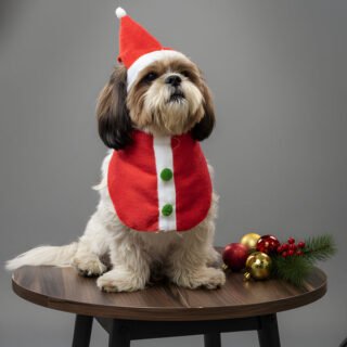 Pawgypets Christmas Bandana for Dogs and Cats