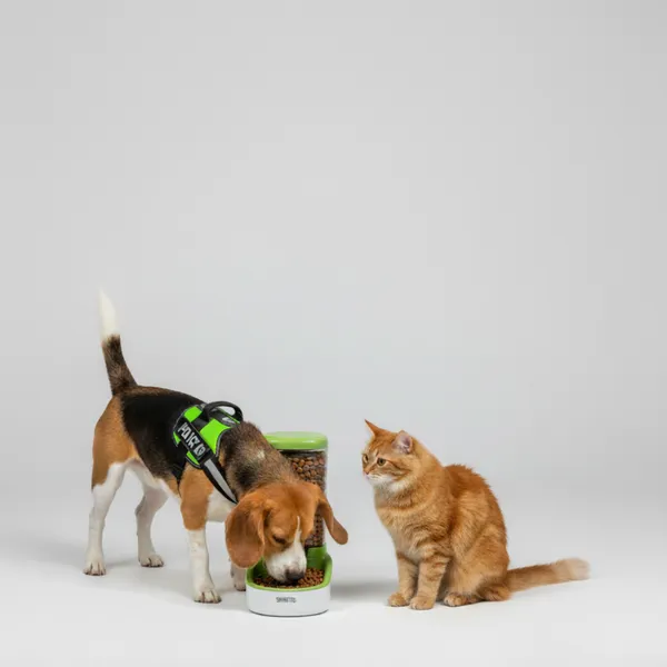 Skatrs Food Dispenser for Dogs and Cats - Image 4