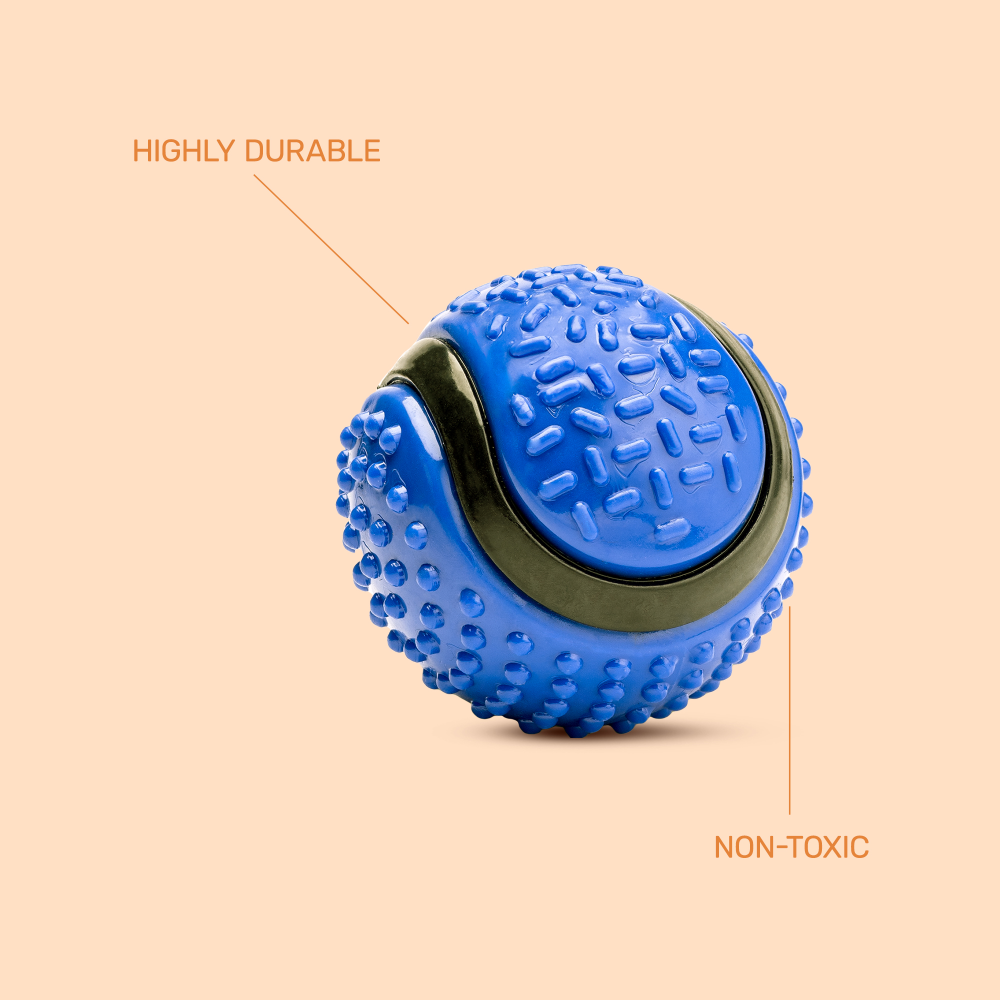 Kibbo Non Toxic Dotted Rubber Big Ball Chew Toy For Dogs And Cat Blue - Image 4