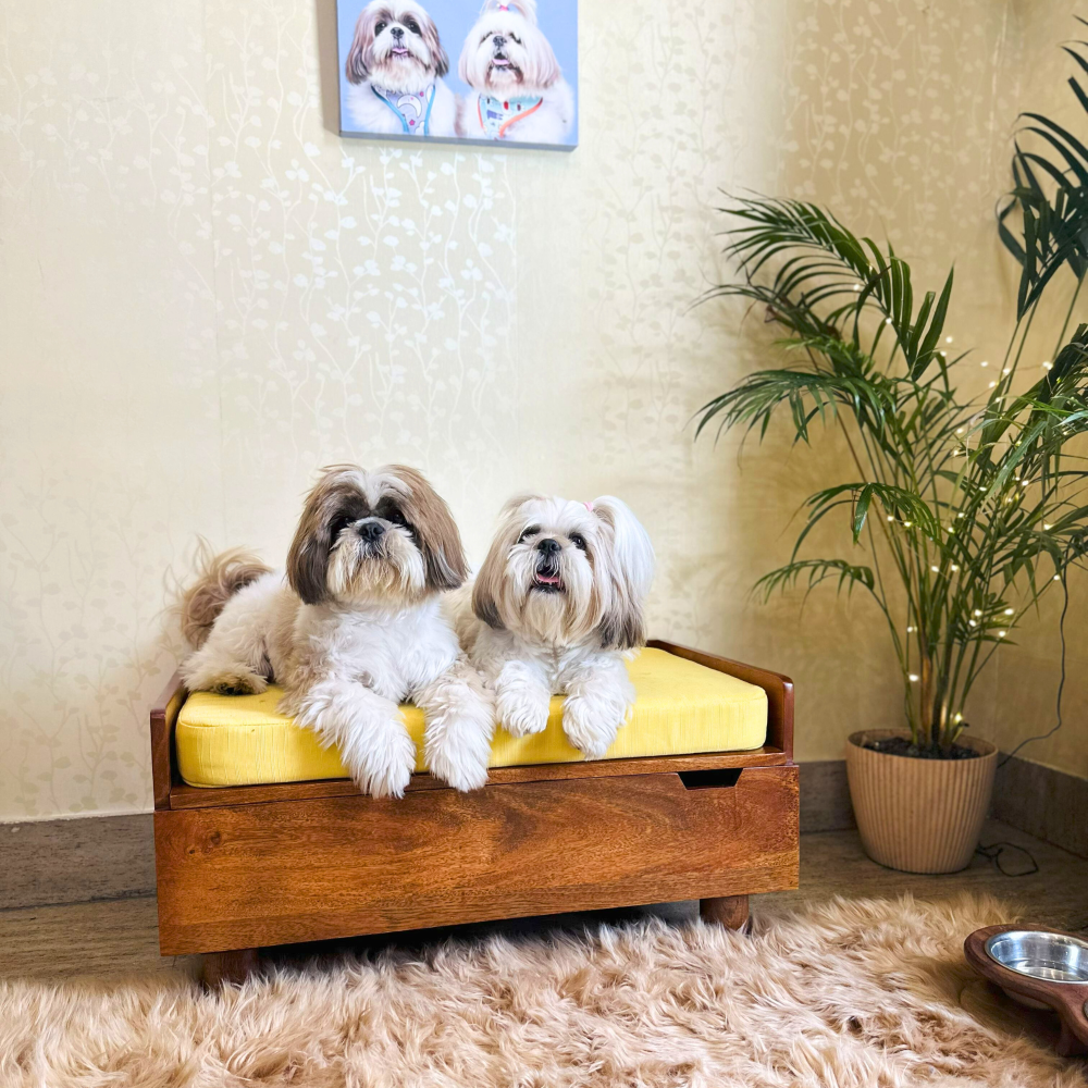 FurryLiving Hibachi Honey Bed with Storage for Dogs (Honey/Brown Cushion)