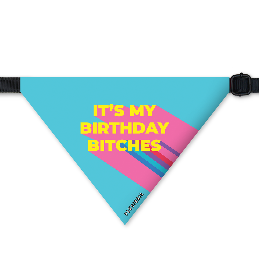 Pawsindia Its My Birthday Bitches Pet Bandana For Dogs And Cats
