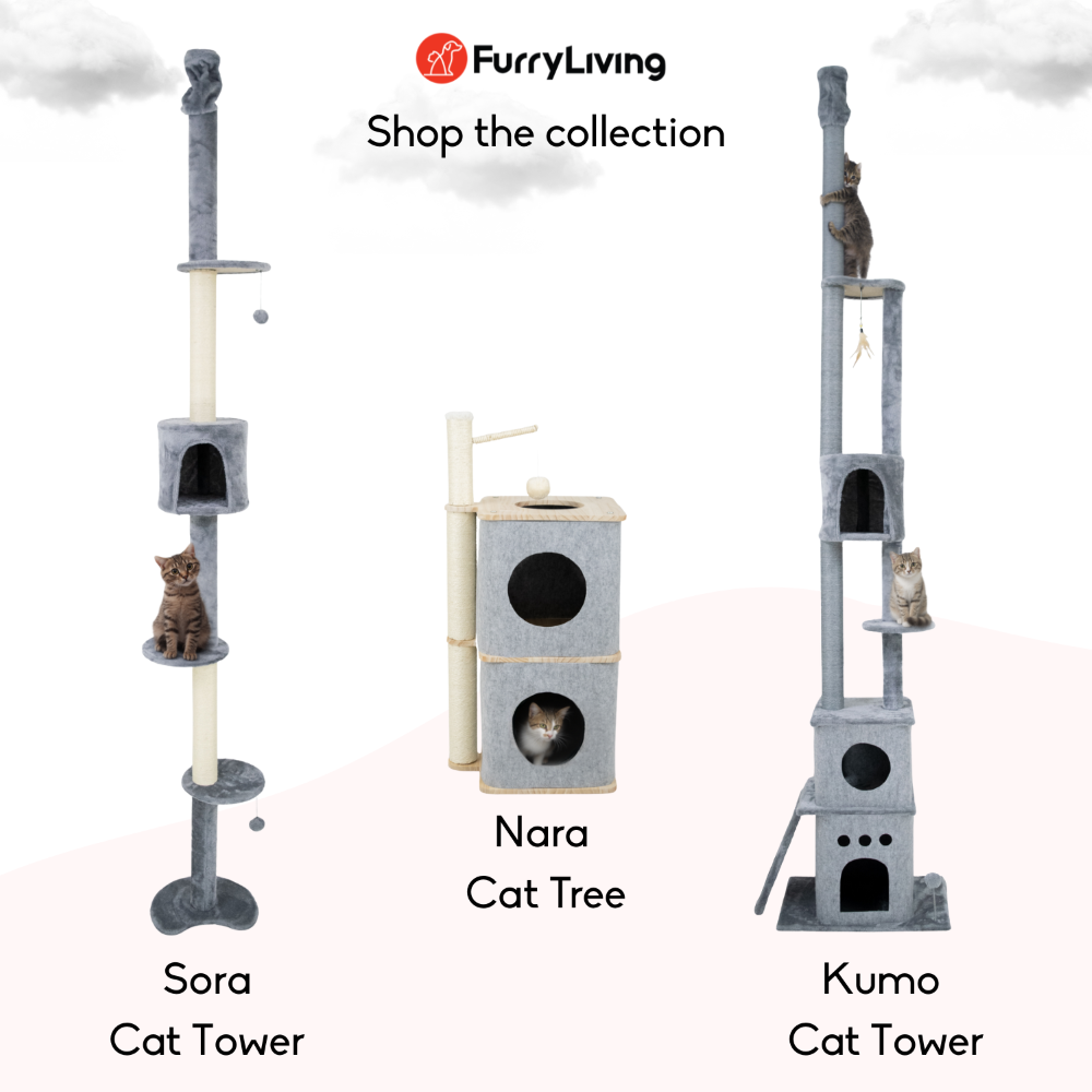 Furryliving Sora Adjustable Floor To Ceiling With Scratching Posts Condo And Hanging Toy Cat Tree