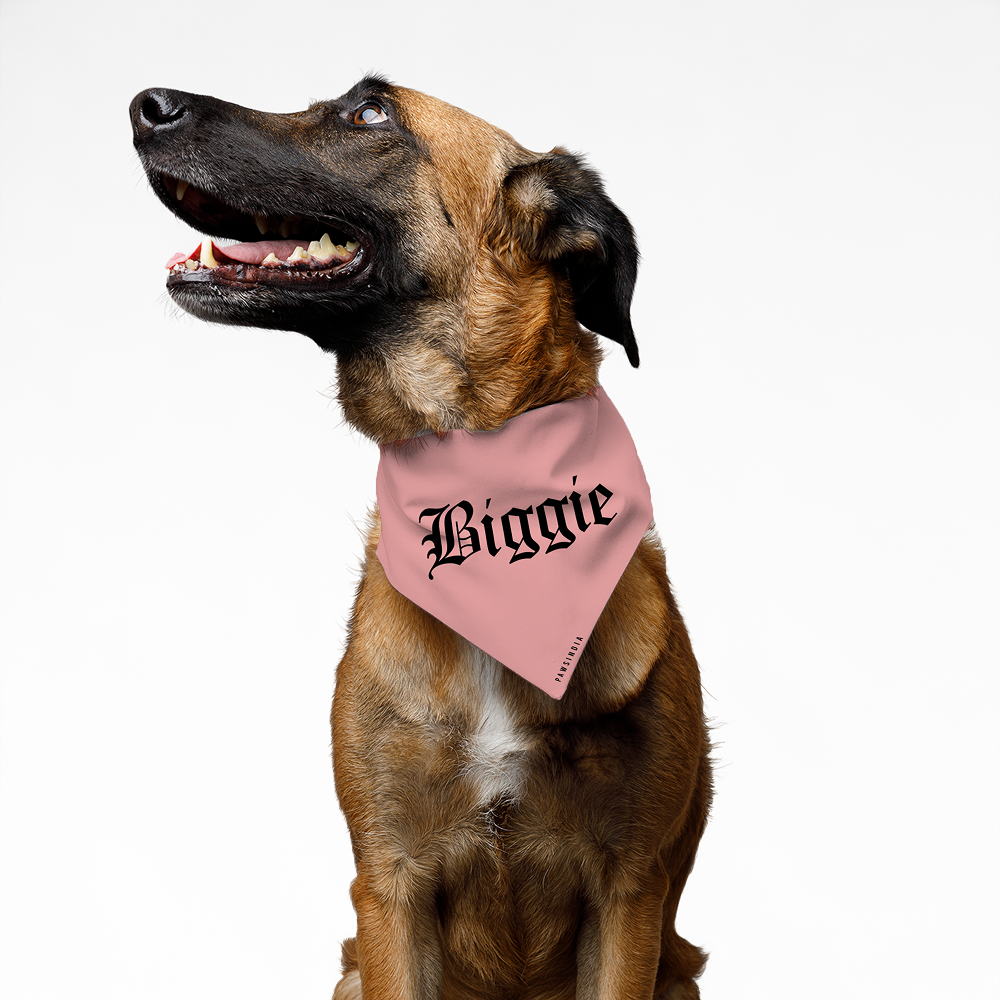 Pawsindia Biggie Pet Bandana For Dogs And Cats