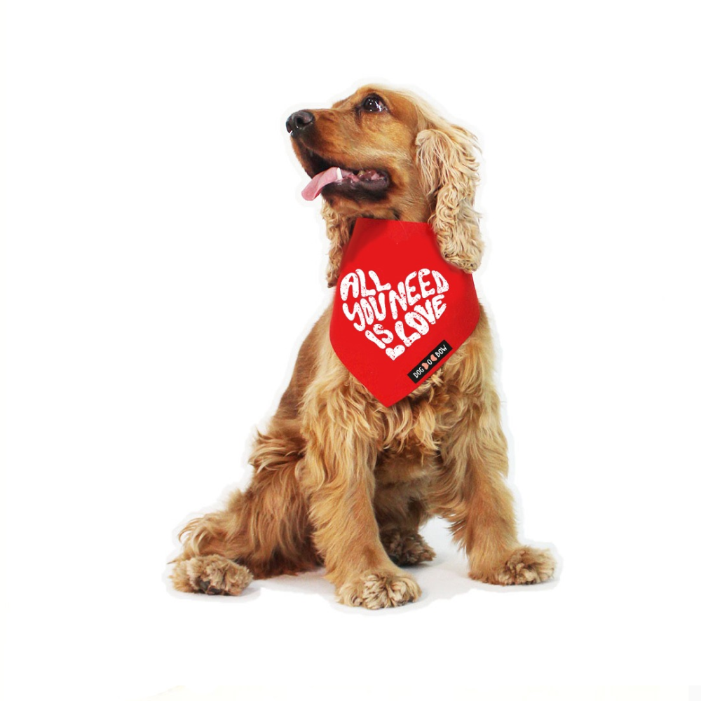 Dogobow All You Need Is Love Pet Bandana For Dogs Red