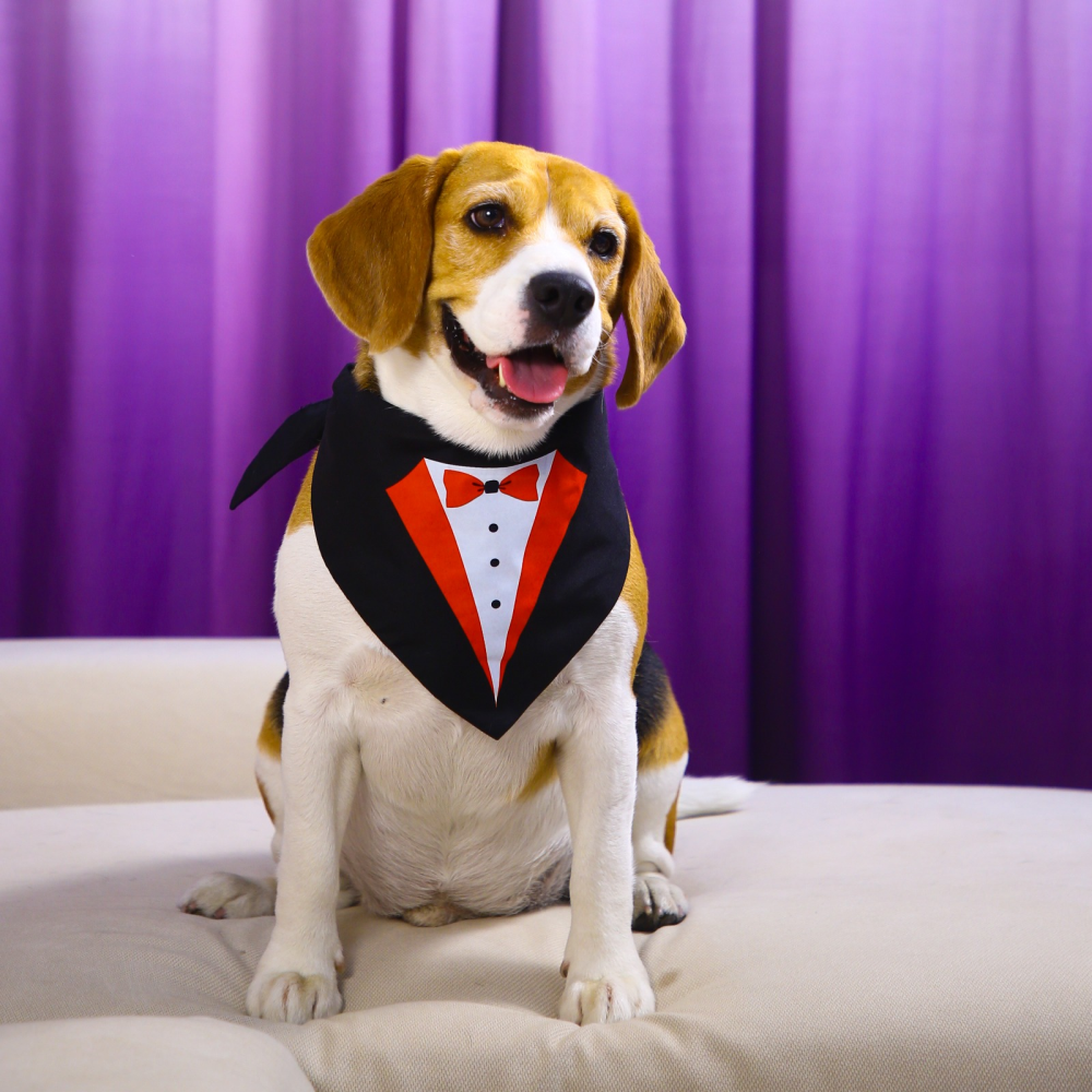 Dogobow Tuxedo Printed Bandana for Dogs (Black/White)