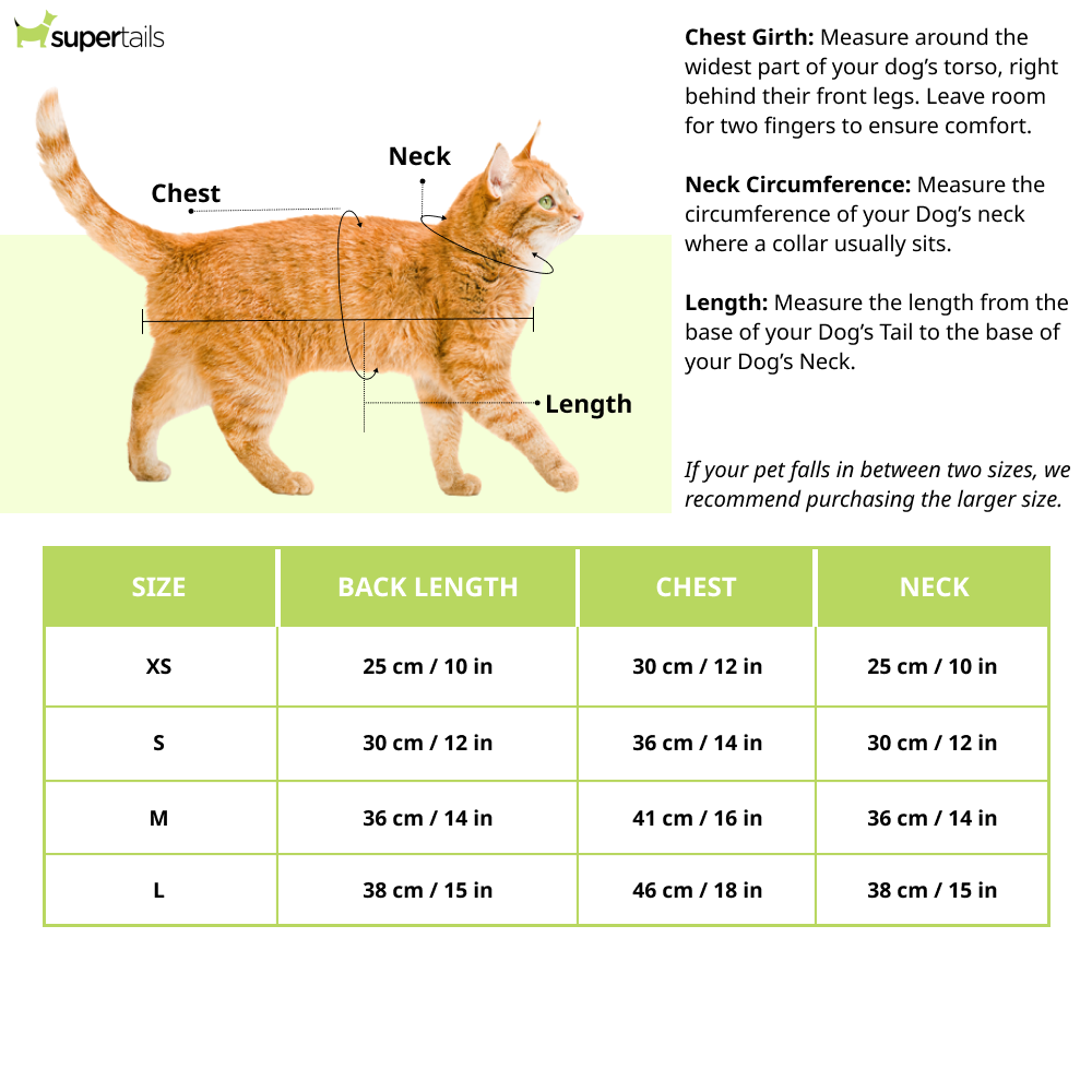 Pawsindia Traditional Royal Brocade Kurta for Cats (Aqua Green)