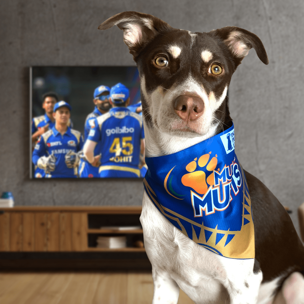 Barkbutler Mumbai Mutts Bandana for Dogs | Indian Pet League