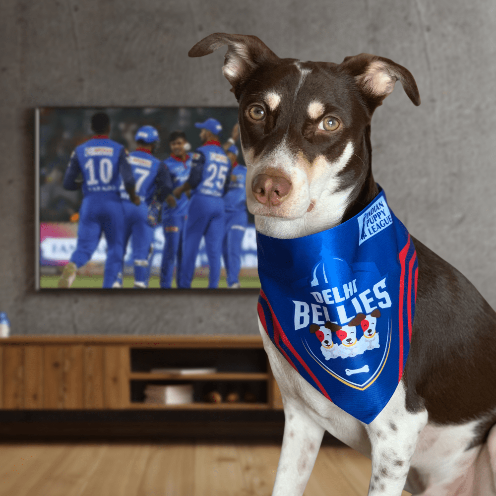Barkbutler Delhi Bellies Bandana for Dogs | Indian Pet League
