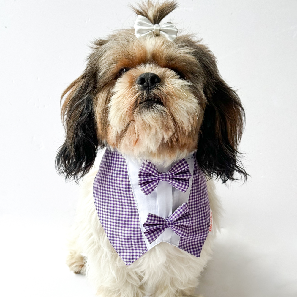 Pawgypets Casual Check Bandana for Dogs and Cats (Purple)