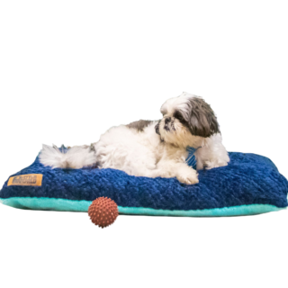 Petter World Luxury Reversible Chopped Foamed Pillow Bed with Soft Fur for Dogs (Turquoise)