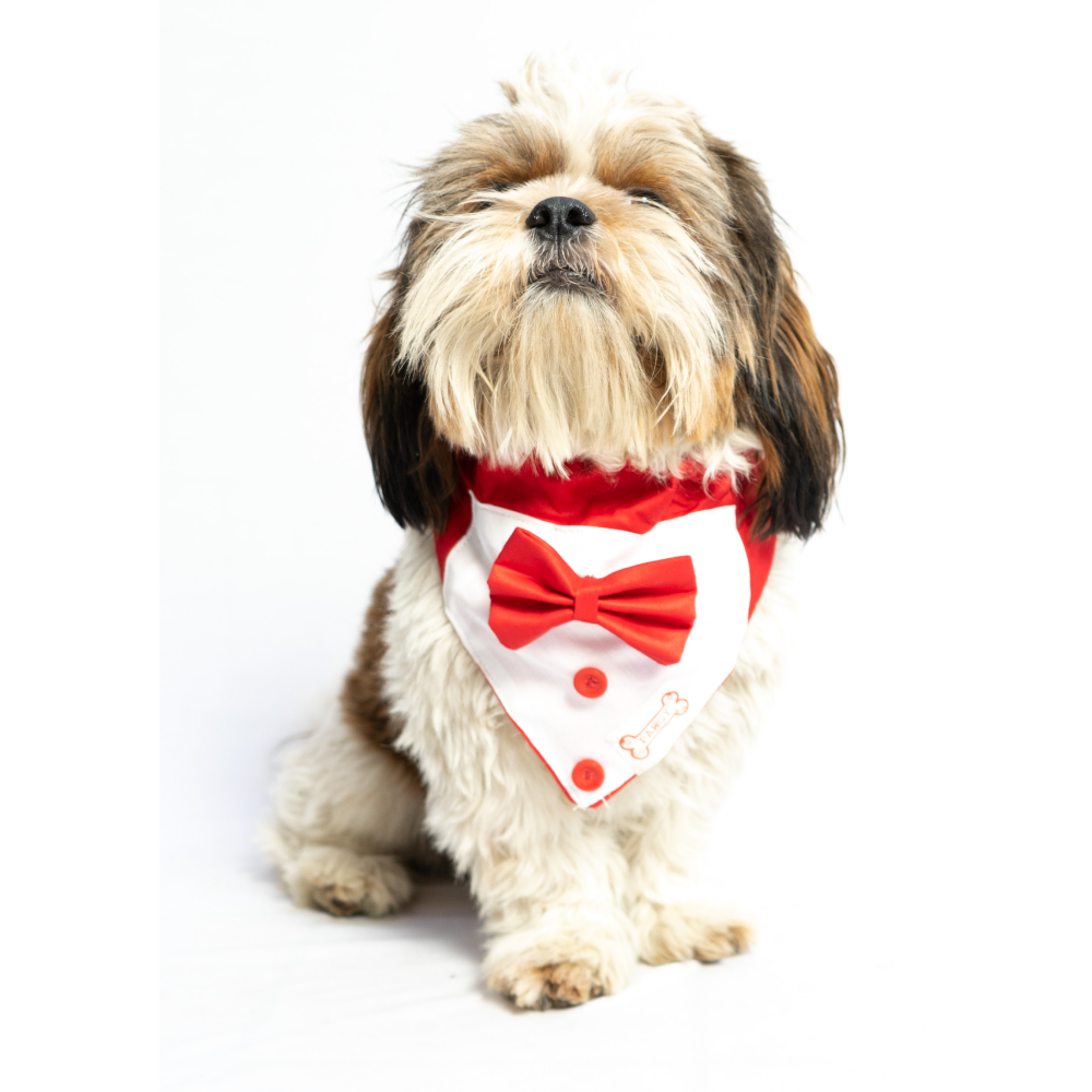 Pawgypets Tuxedo Bandana For Dogs And Cats Red